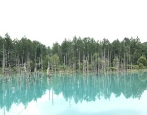 怖いが見たい 神の子池と摩周湖観光 北海道道東旅行３日目 ギター弾き語りくらぶ